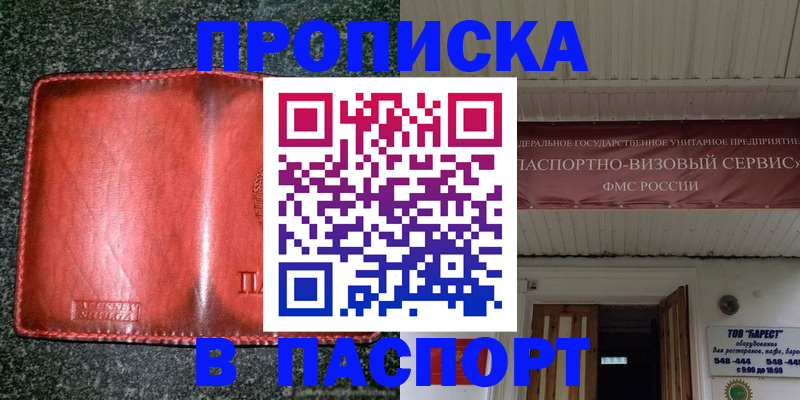 временная прописка в Электрогорске